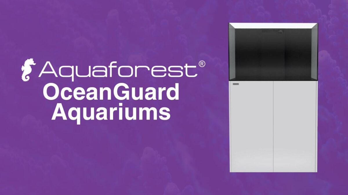 A Buyer's Guide to Aquaforest OceanGuard Aquariums Aquafish