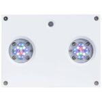 Hydra 32 HD LED Reef Light - White Body