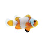 Snowflake Clownfish