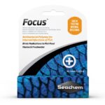 Focus